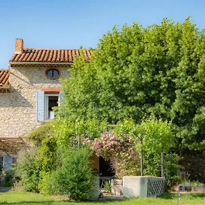 Les Tilleuls D'elisée Couette-café Vaison-la-Romaine
